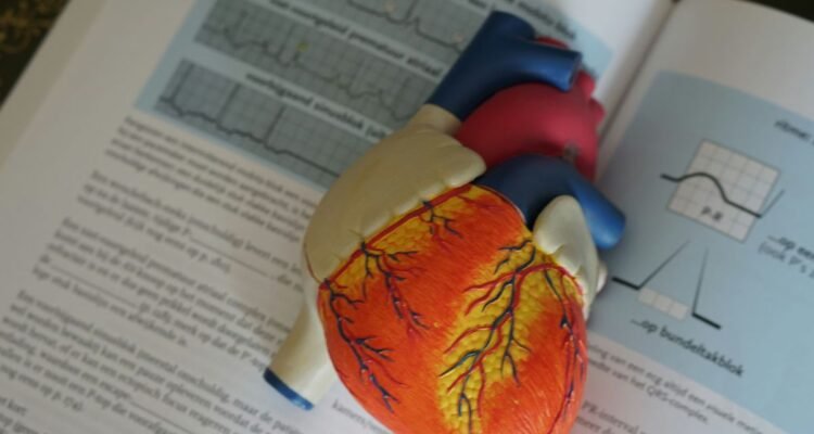 LVAD